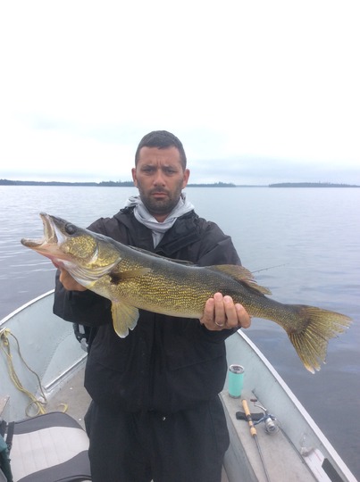 Walleye