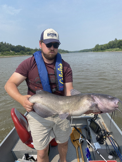 Channel Catfish