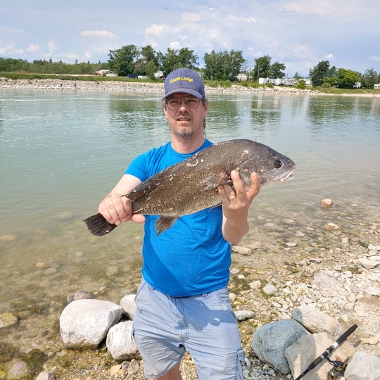 Freshwater Drum