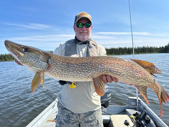 Northern Pike