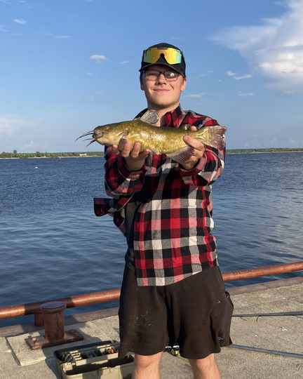 Bullhead