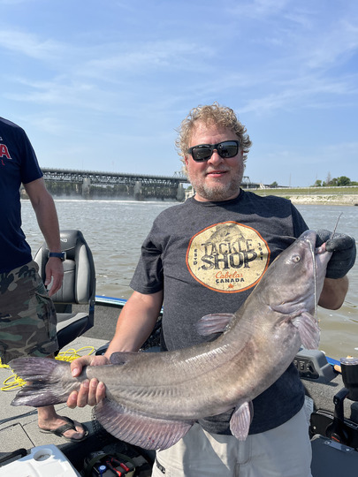 Channel Catfish