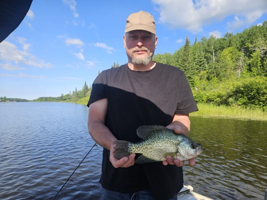 Black Crappie