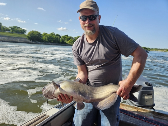 Channel Catfish