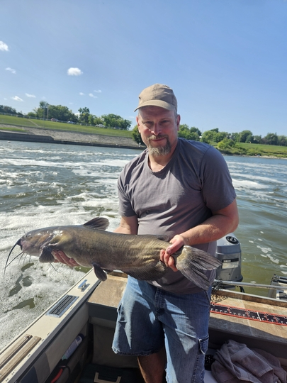 Channel Catfish