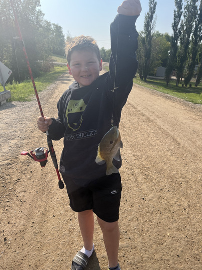 Sunfish