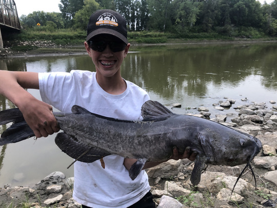 Channel Catfish