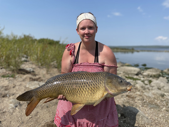 Common Carp