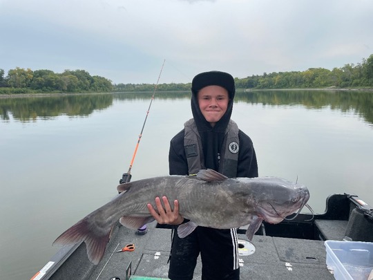 Channel Catfish