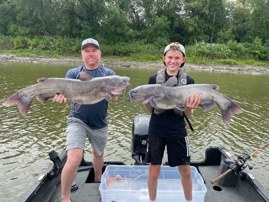 Channel Catfish