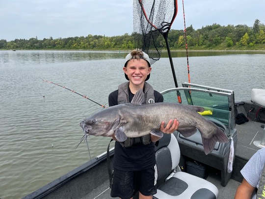 Channel Catfish