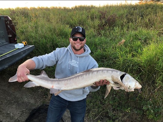 Lake Sturgeon