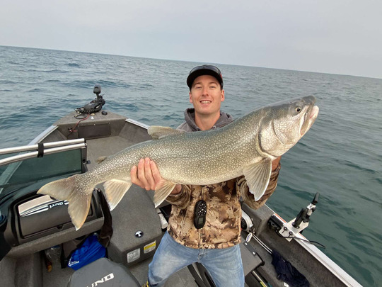 Lake Trout