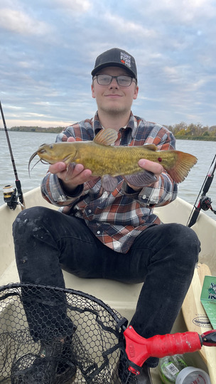 Bullhead