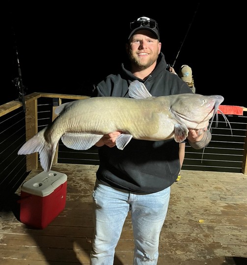 Channel Catfish