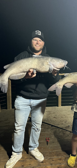Channel Catfish