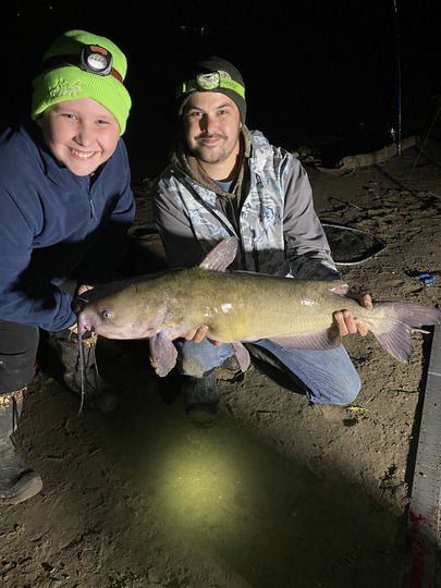 Channel Catfish