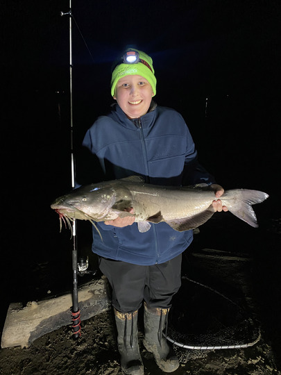Channel Catfish