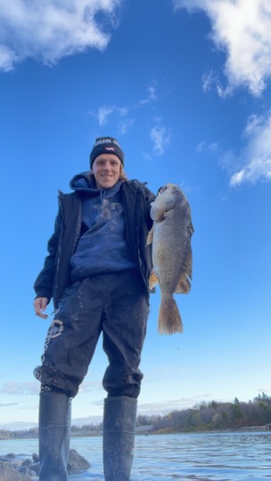 Freshwater Drum