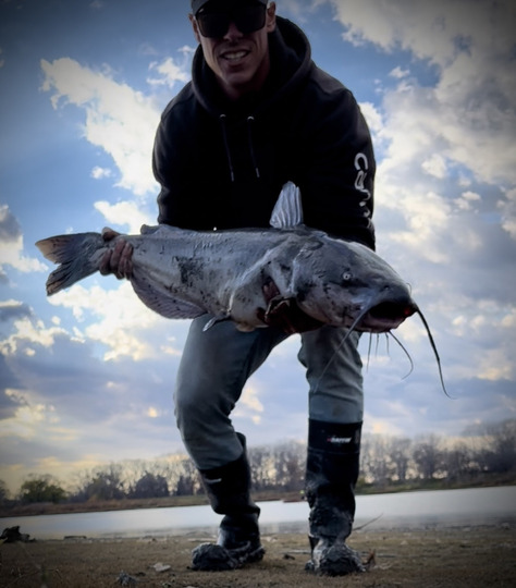 Channel Catfish