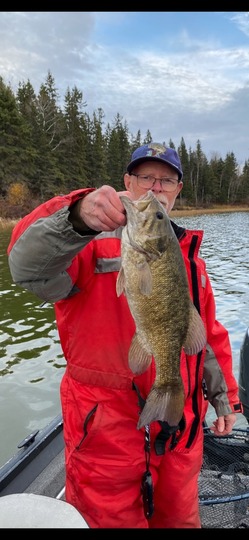 Smallmouth Bass