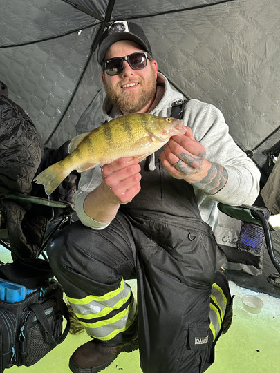 Yellow Perch