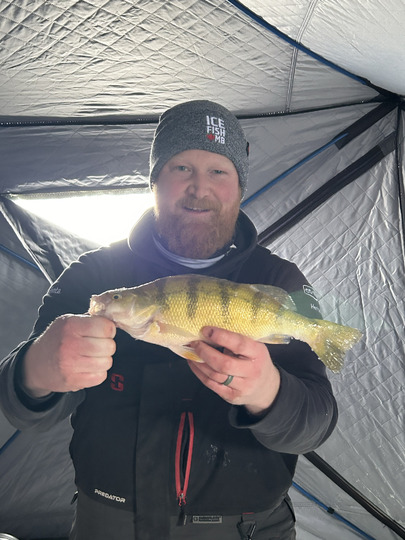 Yellow Perch