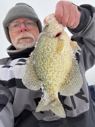 Black Crappie