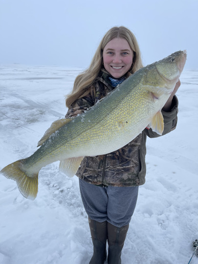 Walleye