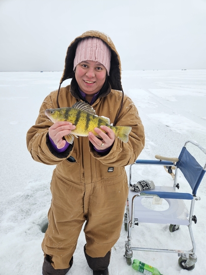Yellow Perch