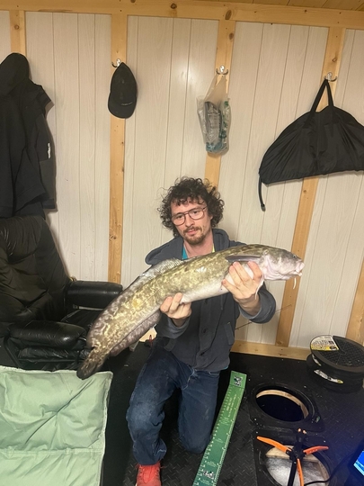 Burbot
