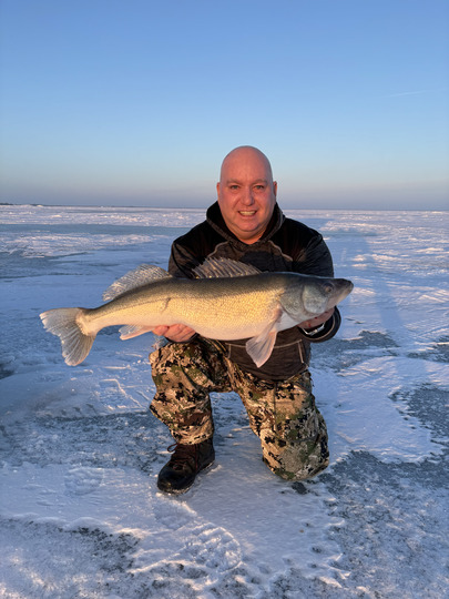 Walleye