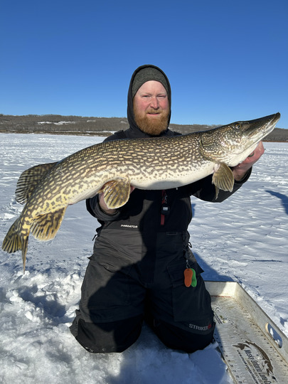 Northern Pike