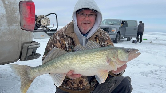 Walleye