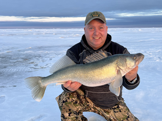 Walleye