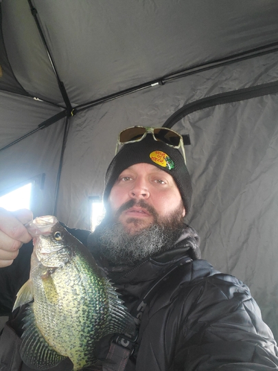 Black Crappie