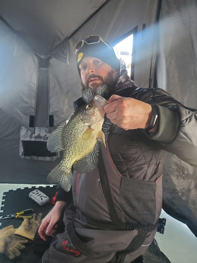 Black Crappie
