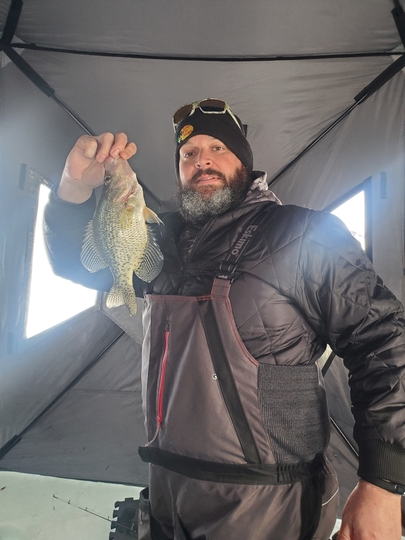 Black Crappie