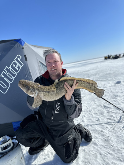 Burbot