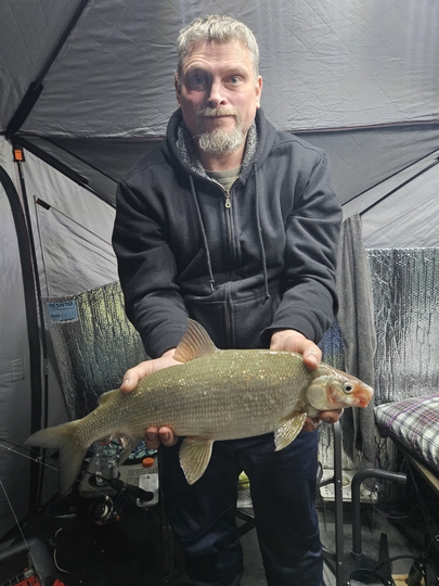 Lake Whitefish