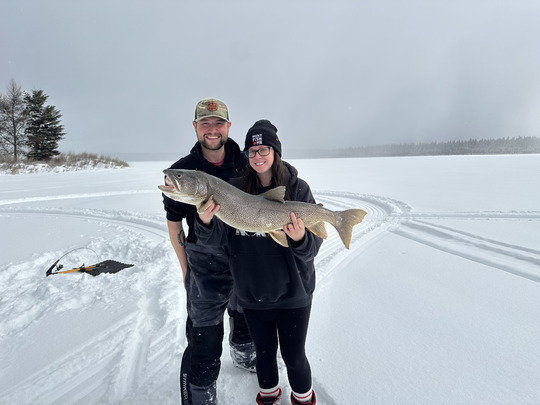 Lake Trout