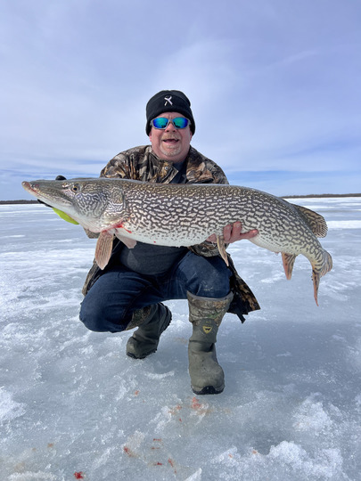 Northern Pike