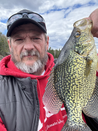 Black Crappie