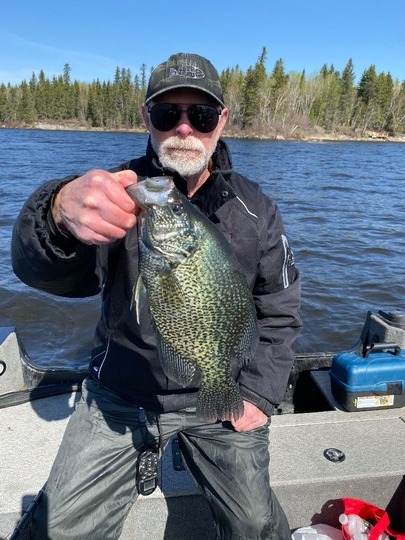 Black Crappie