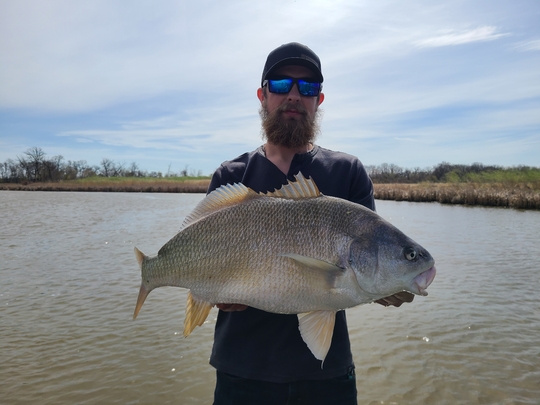 Freshwater Drum