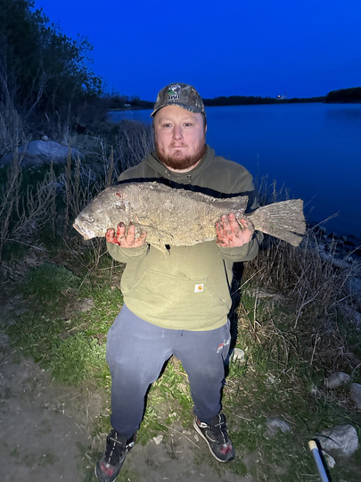 Freshwater Drum