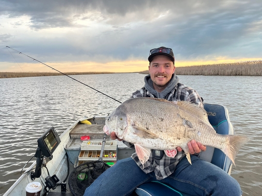 Freshwater Drum