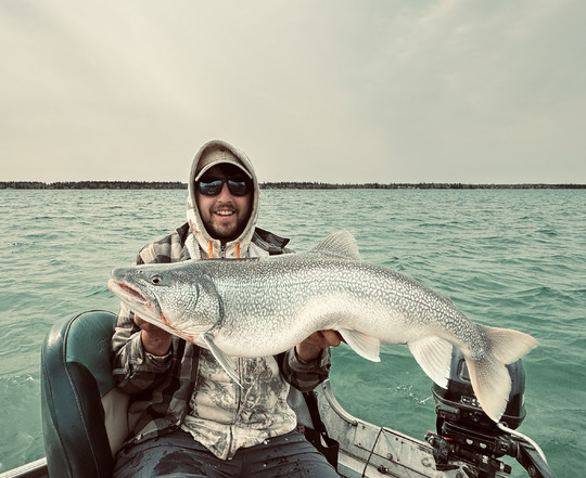 Lake Trout