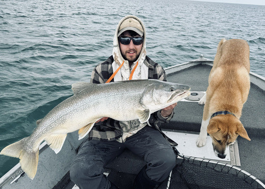 Lake Trout