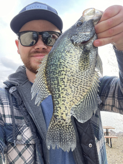 Black Crappie